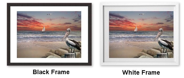 Select Your Frame